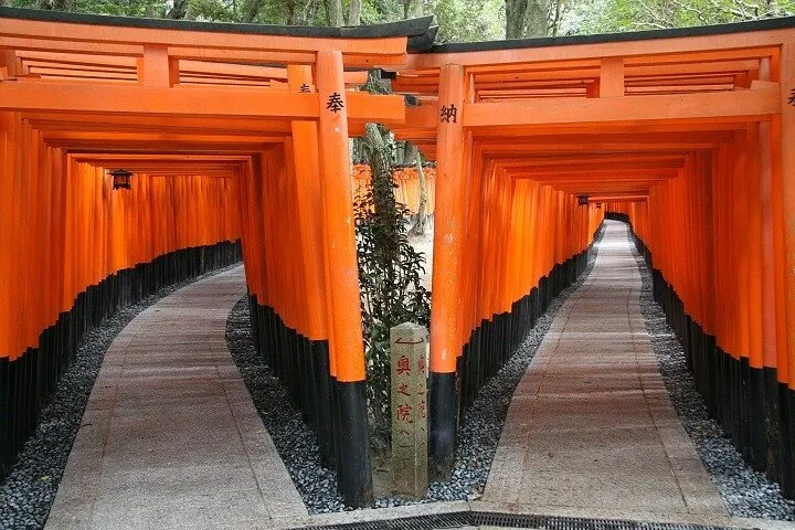 Kyoto temple and bullet train on a Kyoto day trip from Tokyo by bullet train, Japan