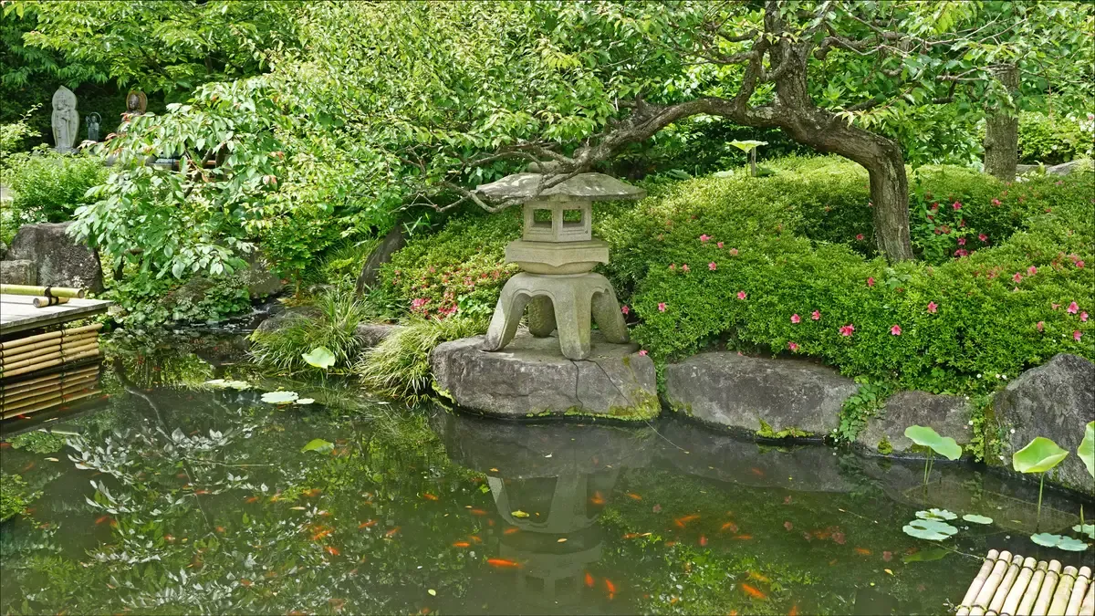 Koi pond and stone lantern in the garden of Hasedera in Kamakura on a free day trip from Tokyo
