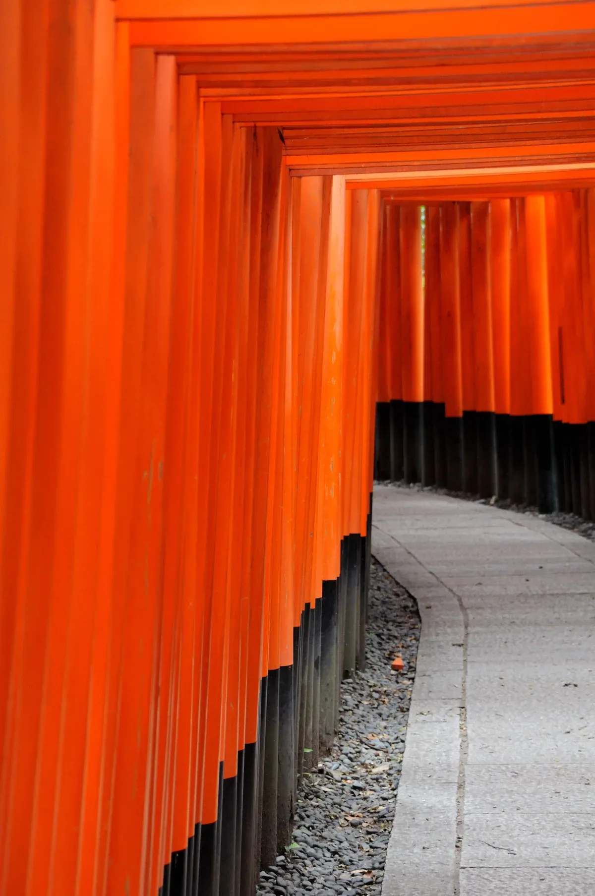 Vermilion torii gate path at Fushimi Inari in Kyoto on a Kyoto day trip from Tokyo by bullet train