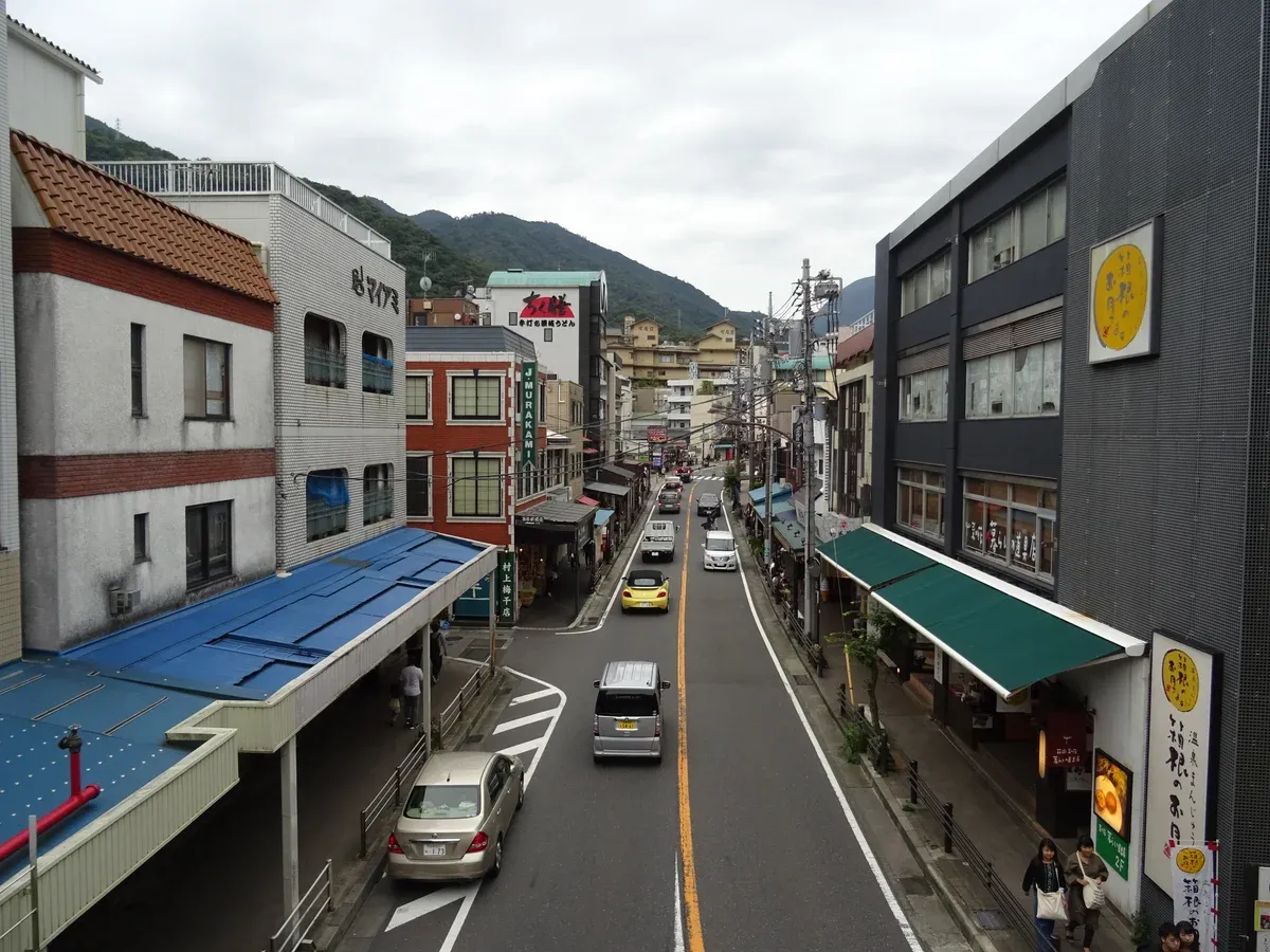 Hakone-Yumoto main street below forested hills on a private Mt Fuji and Hakone day tour from Tokyo
