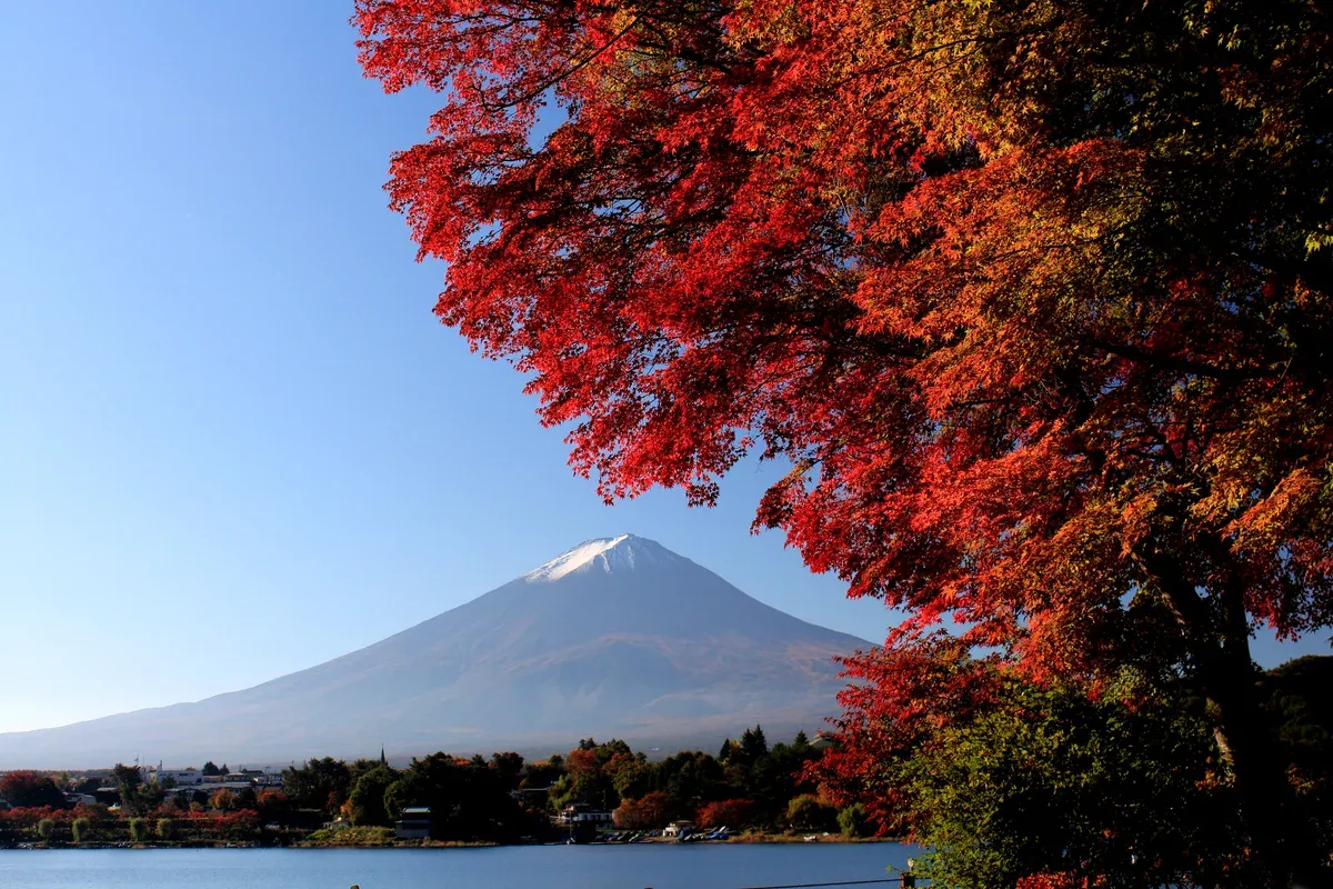 Mt Fuji across Lake Kawaguchi framed by red maple leaves on a day trip from Tokyo