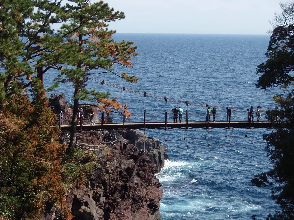 Jogasaki Coast suspension bridge on an Izu day trip from Tokyo