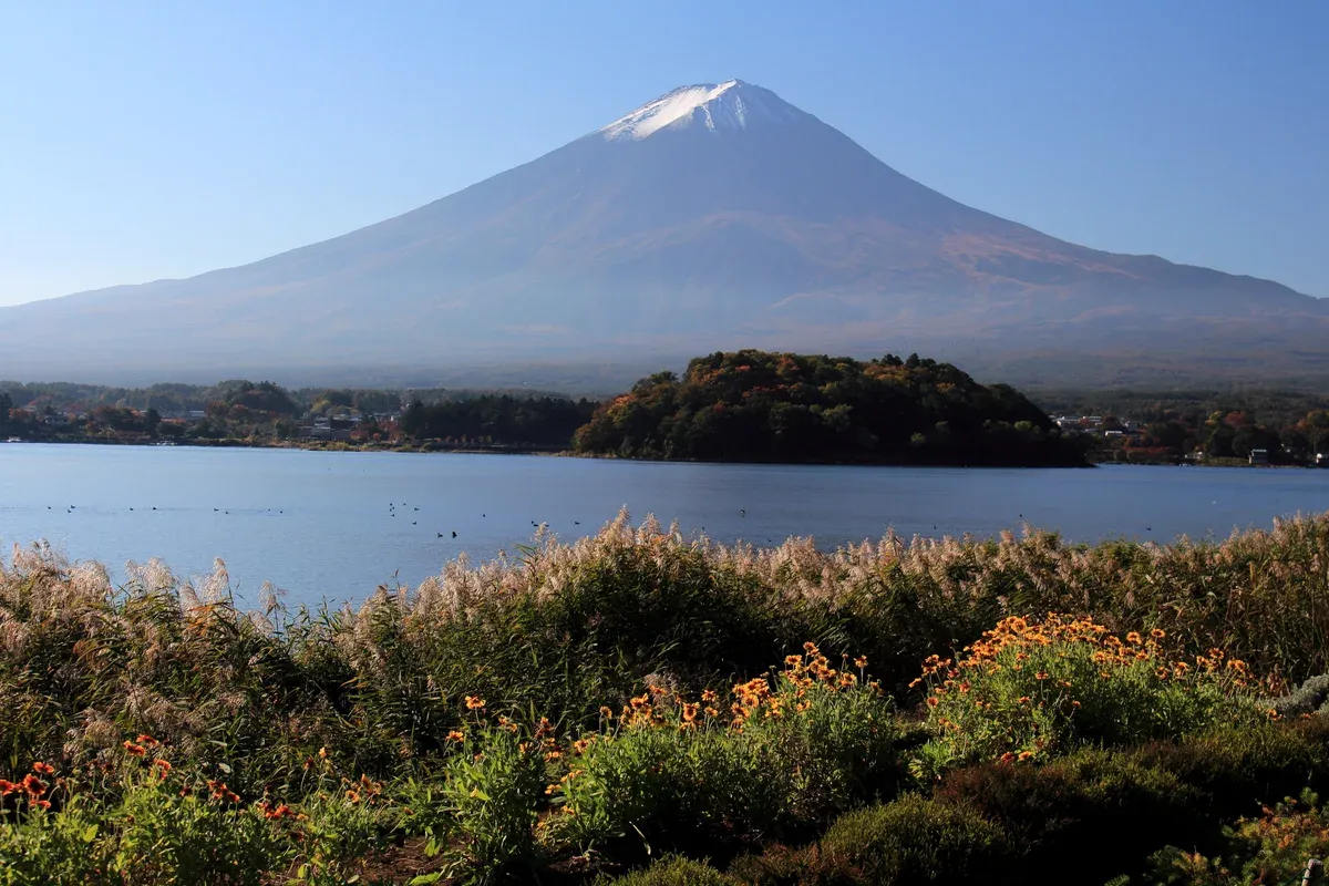 Mt Fuji over Lake Kawaguchi from Oishi Park on a 2-day trip from Tokyo